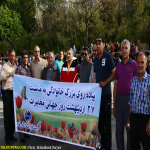 پیاده روی بزرگ خانوادگی به مناسبت روز مخابرات، شیراز/  عکس محدثه دریایی