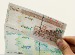 ایروانی: هر یک درصد افزایش  نرخ ارز، 8/4 درصدی ارزش پول ملی  را کاهش می‌دهد