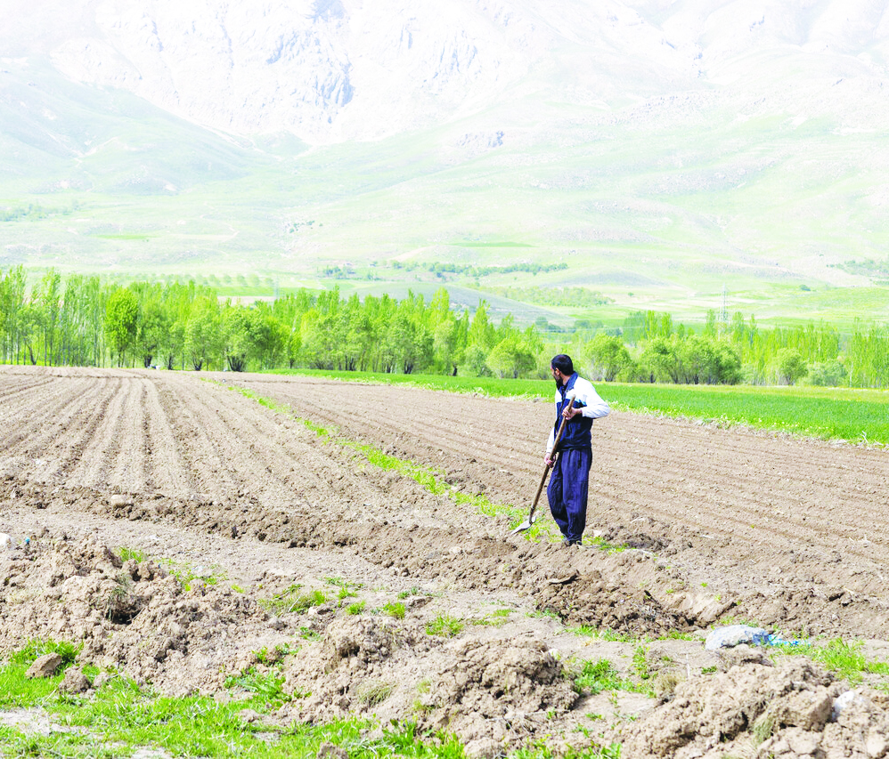 سرمایه‌گذاری در بخش کشاورزی  پایین است