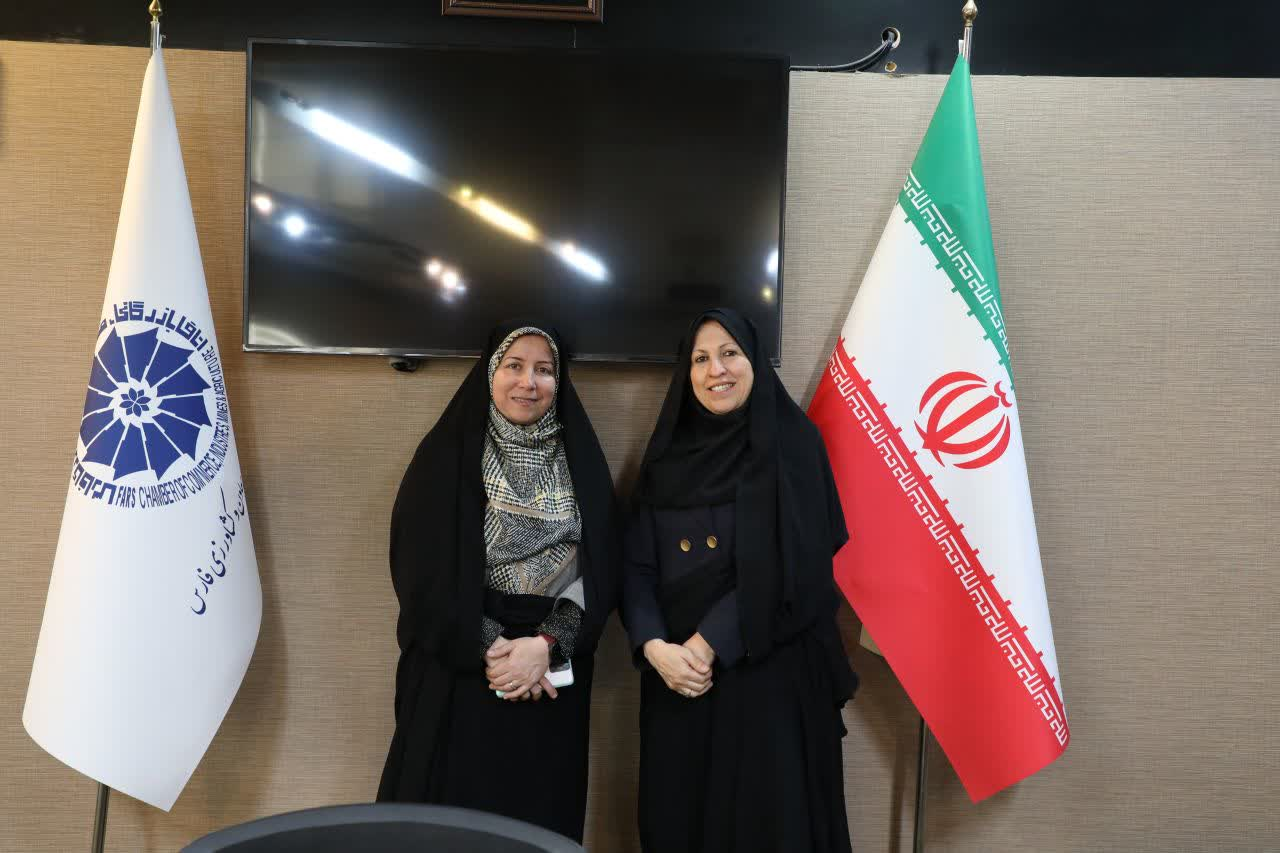 پیوند دولت و بخش خصوصی برای حمایت از زنان کارآفرین در فارس