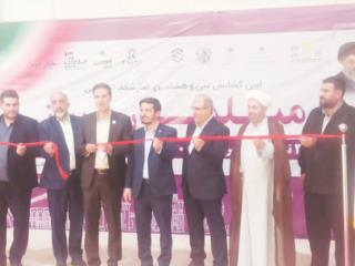 آغاز به کار بزرگترین نمایشگاه مبلمان  در جنوب کشور