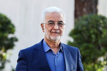 یک میلیون و ۲۰۰ هزار تبعه غیرمجاز از کشور خارج شده‌اند