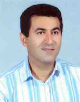 شخصیت فردی و رانندگی