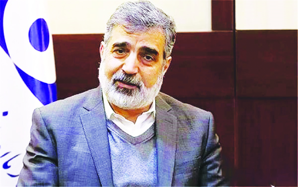 ایران تنها غنی‌سازِ  بدون سلاح هسته‌ای نیست