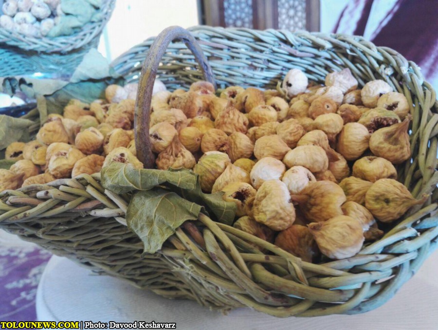 جشنواره انجیر دوسیران و بازدید معاون وزیر از مجموعه تاریخی بیشاپور/ عکس: علی گلچین، سیدعلی هاشمی، داود کشاورز